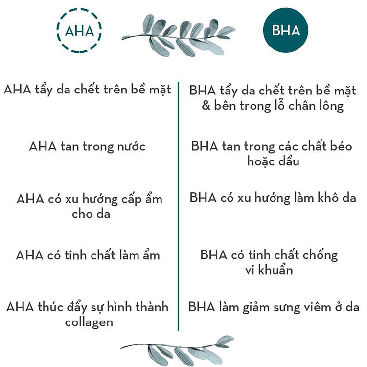 Sự khác nhau cơ bản của AHA và BHA